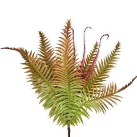 Green Orange Autumn Ladder Fern 46cm