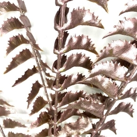 Metallic Blush Pink Fern 92cm