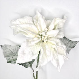 White Poinsettia 72cm