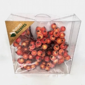 Orange Frosted Berry Box 9cm