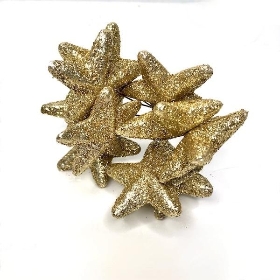 Gold Glitter Stars 10cm