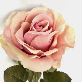 Light Pink Rose 70cm