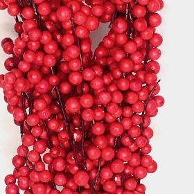 Red Berries Bush 43m