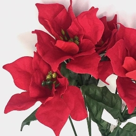 Red Velvet Poinsettia Bush 32cm