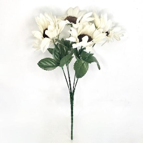 White Sunflower Bush 33cm