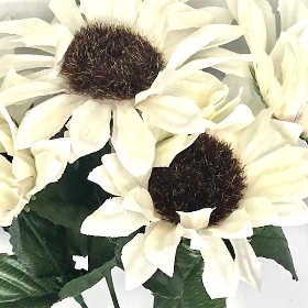 White Sunflower Bush 33cm