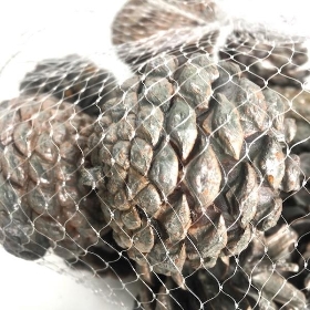 White Wash Pinecone 250g