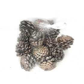 White Wash Pinecone 250g