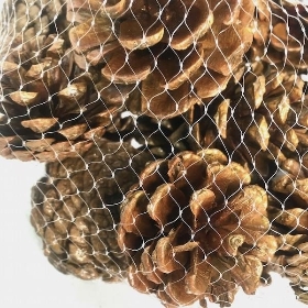 Gold Pinecone 250g