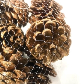 Gold Pinecone 250g