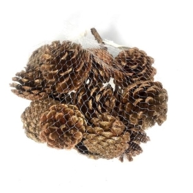 Gold Pinecone 250g