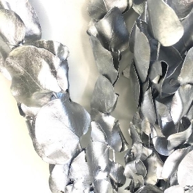 Silver Preserved Eucalyptus 150g