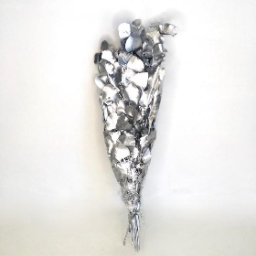 Silver Preserved Eucalyptus 150g