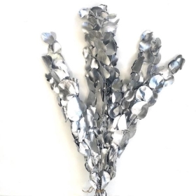 Silver Preserved Eucalyptus 150g