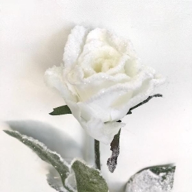 White Christmas Rose 65cm