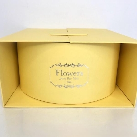 Yellow Surprise Box 21.5cm