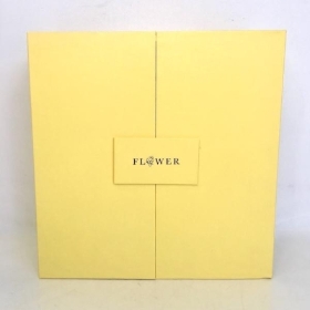 Yellow Surprise Box 21.5cm