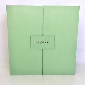 Green Surprise Box 21.5cm