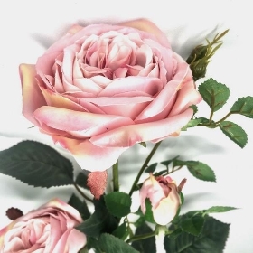 Pale Pink Spray Rose 66cm