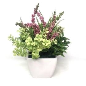 Pink Erica in Pot 16cm