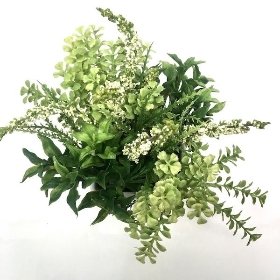 White Erica in Pot 16cm