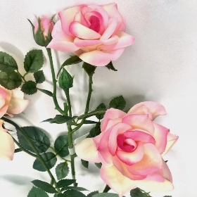 Light Pink Spray Rose 62cm