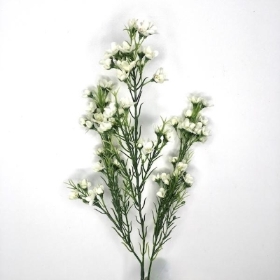 Ivory Waxflower 66cm