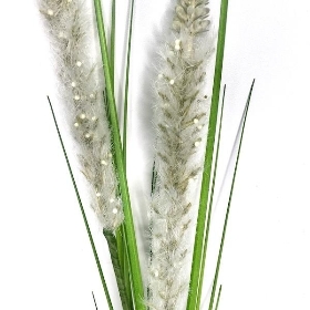 Ivory Grass Spray 96cm