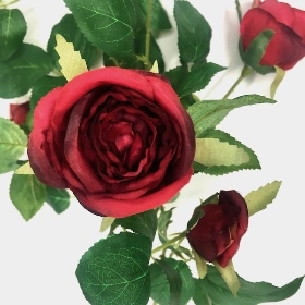 Burgundy Spray Rose 66cm