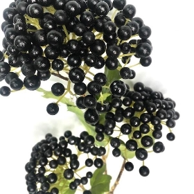 Black Viburnum Berry 65cm