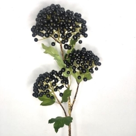 Black Viburnum Berry 65cm