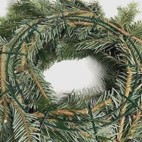 10 x Fresh Spruce Wreath 10 Inch