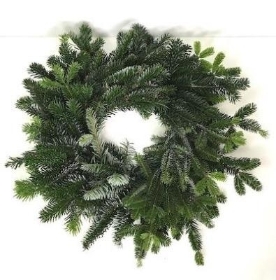 10 x Fresh Spruce Wreath 10 Inch