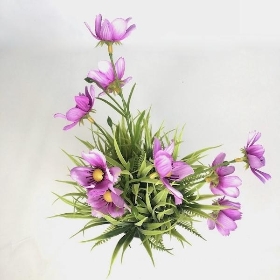 Lilac Cosmos In White Pot 26cm