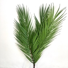 Green Palm Branch 62cm