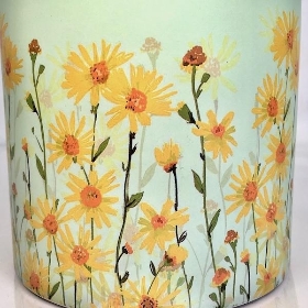 Yellow Daisy Pot 12cm