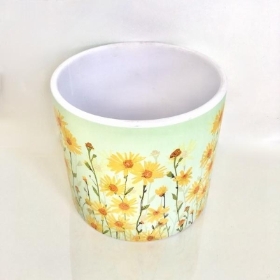 Yellow Daisy Pot 12cm