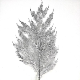 Silver Sparkle Conifer 64cm