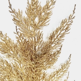 Gold Sparkle Conifer 64cm