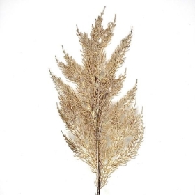 Gold Sparkle Conifer 64cm