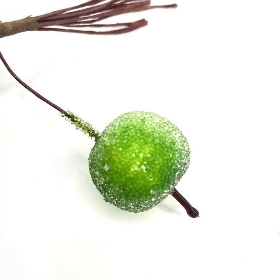 12 x Green Frost Apple Bundle 13cm