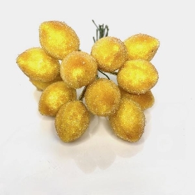 12 x Yellow Frost Lemon Bundle 13cm