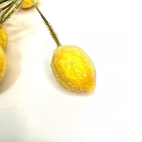 12 x Yellow Frost Lemon Bundle 13cm