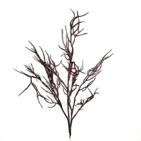 Burgundy Glitter Twig 64cm