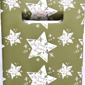 Holly Star Flower Box x 10