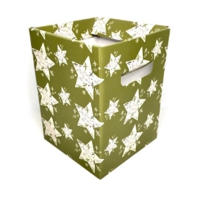 Holly Star Flower Box x 10