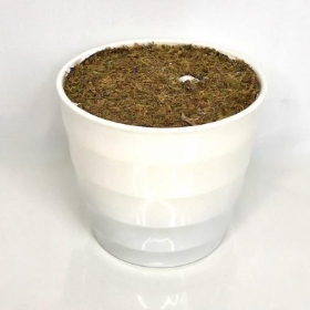 White Filled Pot 12cm