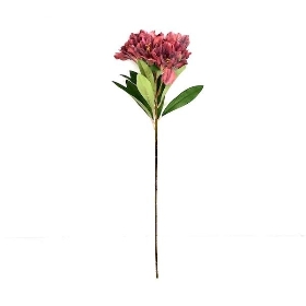 Burgundy Alstromeria 60cm