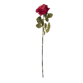 Burgundy Rose 74cm