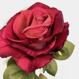 Burgundy Rose 74cm